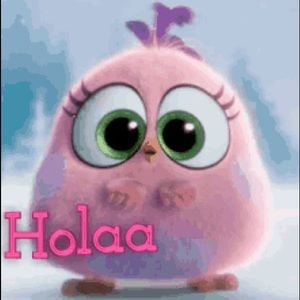 Meet your Posher, Angelina